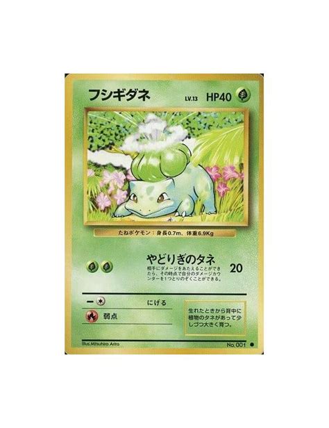 bulbasaur lv 13|Bulbasaur .